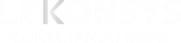 lekonsys.com